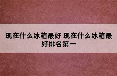 现在什么冰箱最好 现在什么冰箱最好排名第一